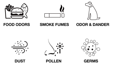 Order and Allergies eliminates chart