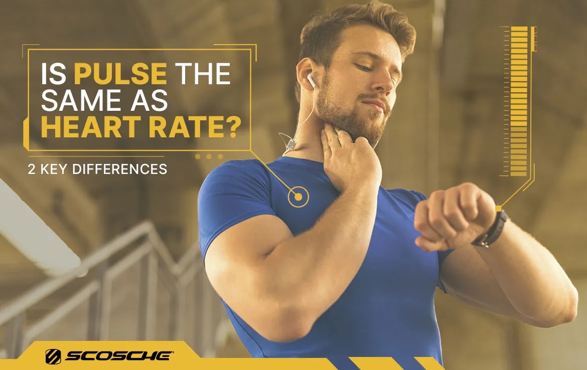 Is Pulse the Same as Heart Rate? Is Pulse the Same as Heart Rate? 2 Key Differences